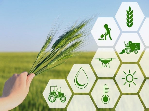 کارآفرینی کشاورزی