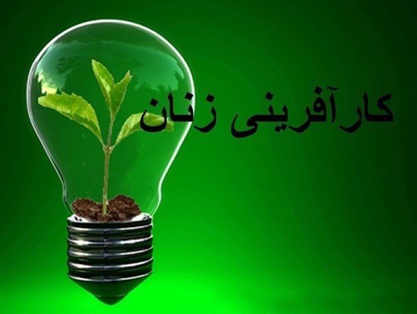 کارآفرینی با سرمایه کم