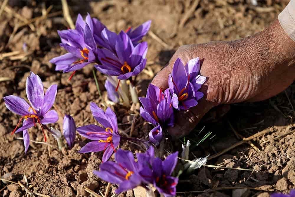 شغل های درآمدزا در خانه