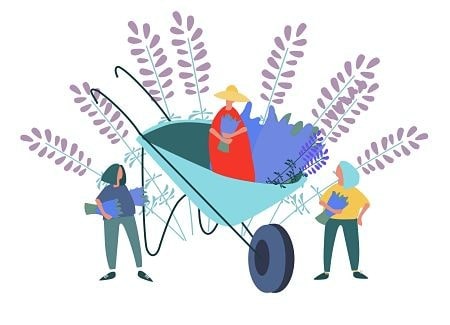 کار در روستا با سرمایه کم