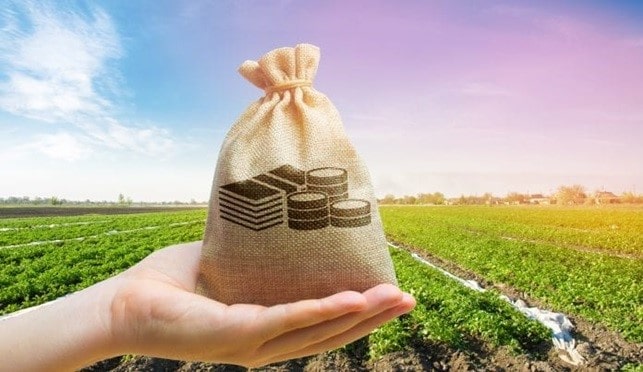 کار تولیدی پردرآمد