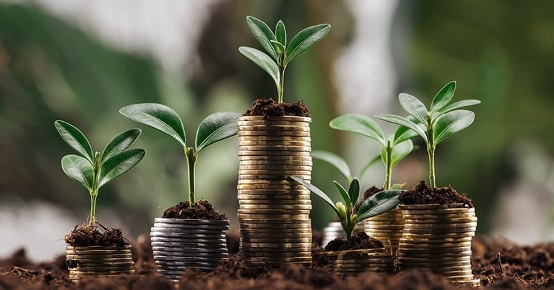 با صد میلیون تومان چیکار کنم؟!